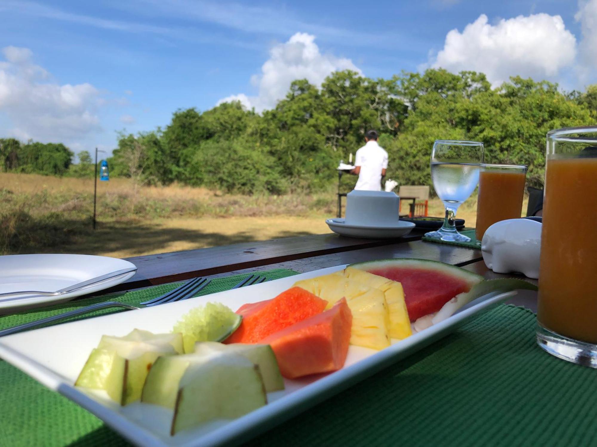 Big Game - Wilpattu By Eco Team Hotel Exterior photo