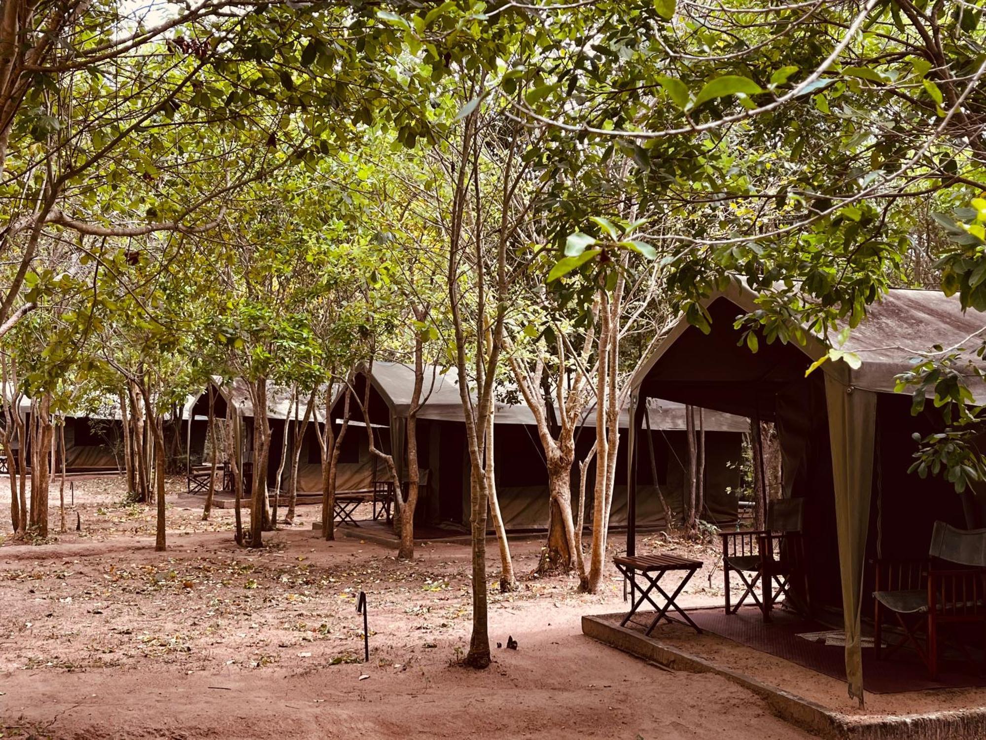 Big Game - Wilpattu By Eco Team Hotel Exterior photo